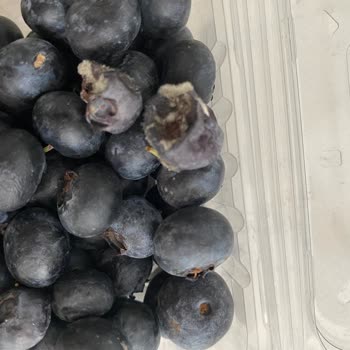 Bozuk Ürün Ve Yetersiz Destek: Kupon Dayatması