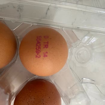 Bozuk Ürün Ve Yetersiz Destek: Kupon Dayatması