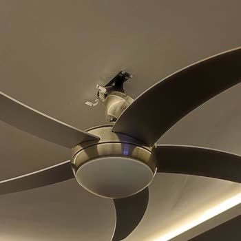 Vantilatör Arızası Sonrası Servis Ve İletişim Sorunu