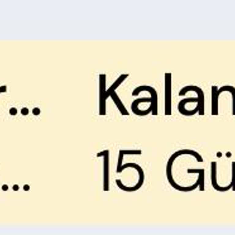 Geçici Uzaklaştırma İşleminin İptal Edilememesi Ve Yetersiz Destek