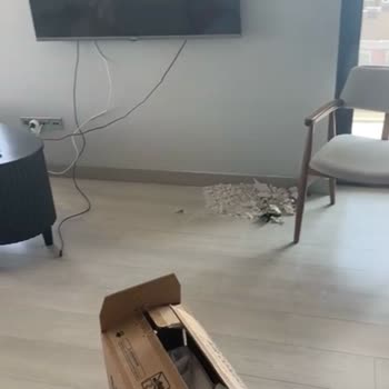 Samsung Klima Montajında Yaşanan Sorunlar Ve Müşteri Hizmetleri Memnuniyetsizliği