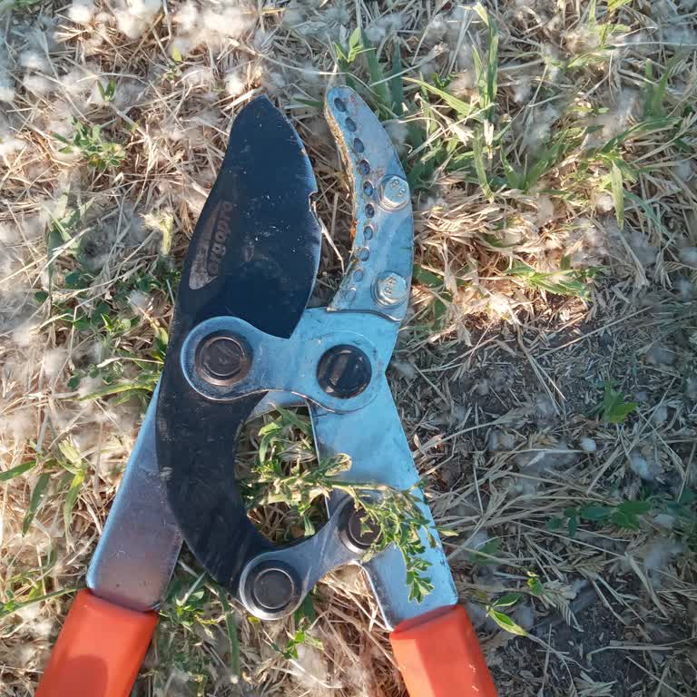 Ergopro Teleskopik Dal Budama Makası Kırılması