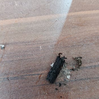 Winston Dark Blue Sigarasında Kalite Sorunu Ve Dal Parçası Şikayeti