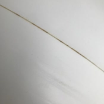 Arızalı Kedi Tuvaleti İçin Çözüm Sunulmuyor, Müşteri Mağdur Ediliyor