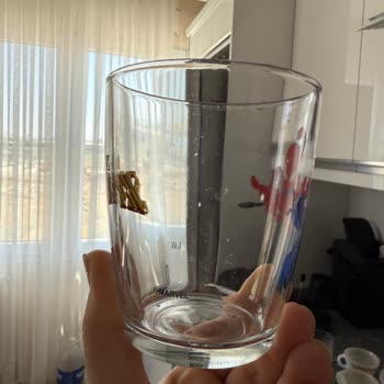 Bosch Bulaşık Makinesi Servisinden Yetersiz Destek Ve Hatalı Gerekçeler