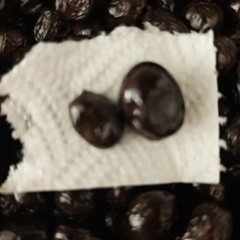 Aldığım Zeytinlerin Beklenen Boyutta Olmaması