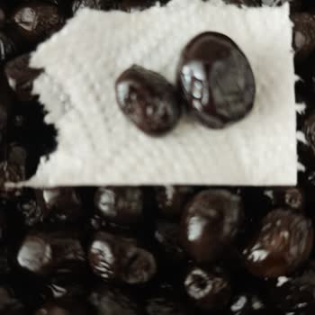 Aldığım Zeytinlerin Beklenen Boyutta Olmaması