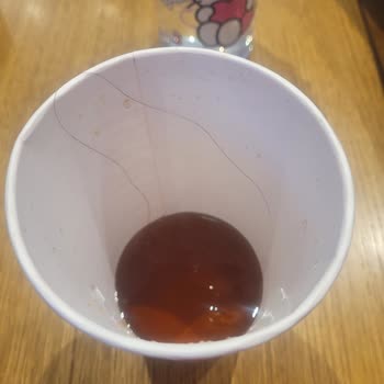 Bir Restoranda Yaşanan Hijyen ve Müşteri Memnuniyeti Sorunu