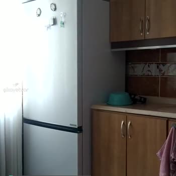 Beko Buzdolabı Ses Problemi