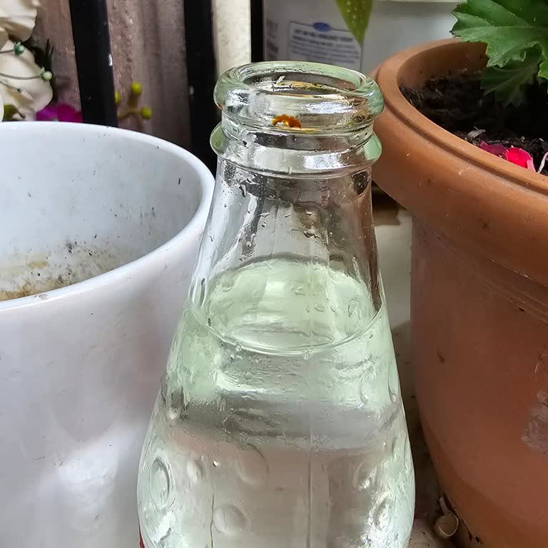 Depozitolu Şişelerde Temizlik Ve Güven Sorunu