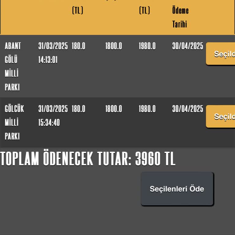 HGS Milli Park Ücretinde Haksız Ve Yüksek Ceza Uygulaması