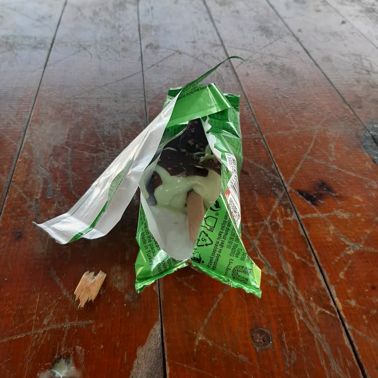 Algida Dondurmada Tahta Parçası: Sağlık Riski Yaşadım