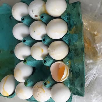 Migros Hemen Siparişlerinde Bozuk Ürün Ve Kırık Yumurta Mağduriyeti