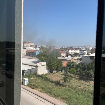 Mahalledeki Halı Yıkama Atölyesinin Dumanından Rahatsızlık