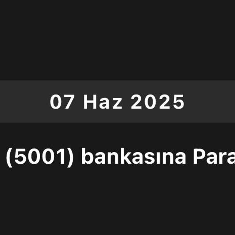 Payoneer-Auszahlung über 140 USD nicht auf Bankkonto eingegangen – dringende Klärung nötig
