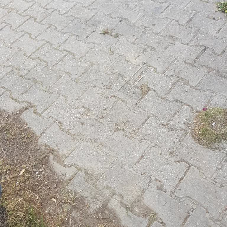 Haberim Olmadan Kredi Kartımdan Para Çekildi, İadesini Talep Ediyorum