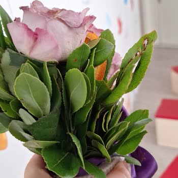 Sipariş Verdiğim Çiçek Özensiz Ve Farklı Şekilde Teslim Edildi Müşteri Hizmeti Yok