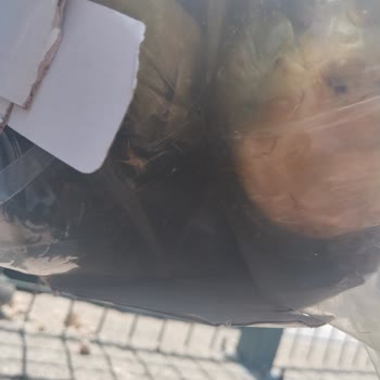 Çeşme Enginar Dünyası'ndan Bozuk Ürün Ve İade Sorunu