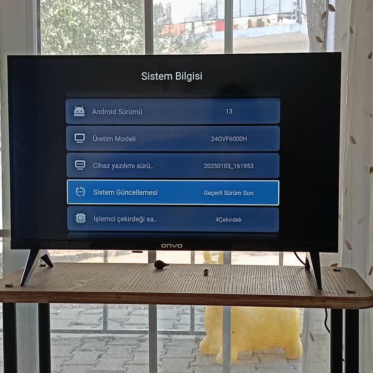 Onvo TV Google Play Hizmetleri Etkinleştirilmeden Çalışmıyor