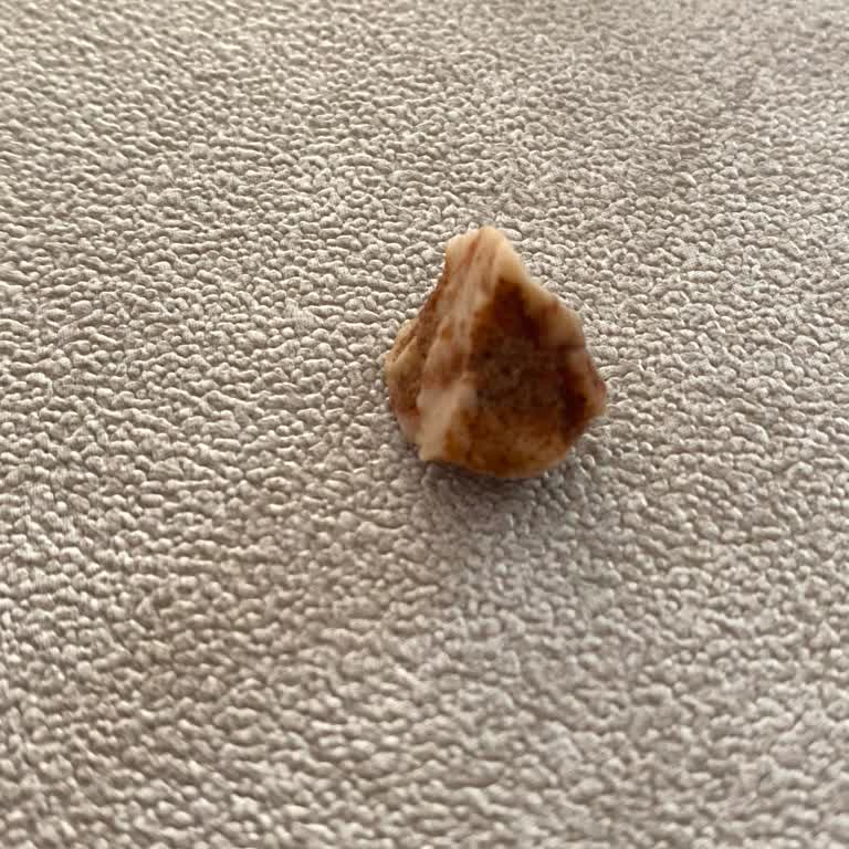 Carrefour SA Pastasında Taş Çıkması Küçük Çocuğum Tehlike Atlattı