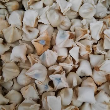 Aldığım Mantı Küflü Çıktı, Sağlığımız Tehlikeye Atıldı