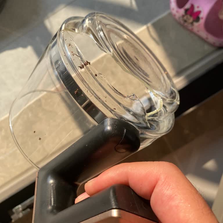 Cam Demlik Kırıldı Yedek Parça Almak İstedim Müşteri Hizmetleri Çözüm Sunmadı