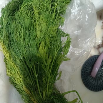 Her Siparişte Bozuk Ya Da Hasarlı Ürün Teslimatı Mağduriyeti