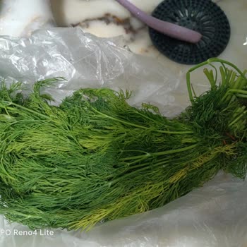 Her Siparişte Bozuk Ya Da Hasarlı Ürün Teslimatı Mağduriyeti