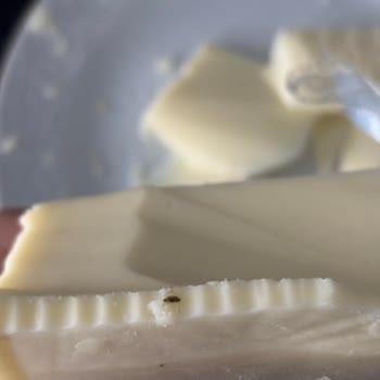 Kaşar Peynirinden Böcek Çıkması Şok Etti