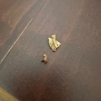 Delly Bar'dan Çıkan Sert Kabuk Parçaları Tehlike Saçıyor!