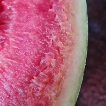 Migros Hemen'den Gelen Çürük Karpuz Ve Yetersiz Destek Deneyimi