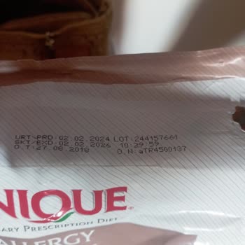 Alerji Kontrol Mamadan Sonra Kedimde Ciddi Sağlık Sorunları Oluştu