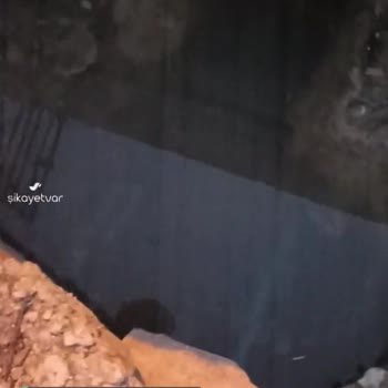 Saski Samsun İlgisizliği