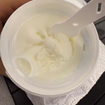 Atatürk Orman Çiftliği Dondurmasında Kıl Şoku Ve Hayal Kırıklığı