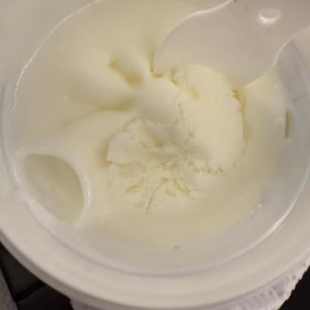 Atatürk Orman Çiftliği Dondurmasında Kıl Şoku Ve Hayal Kırıklığı