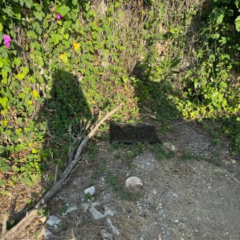 Hello Villam Hayal Kırıklığı Yaratan Hijyen ve İlgisizlikle Karşılaştık