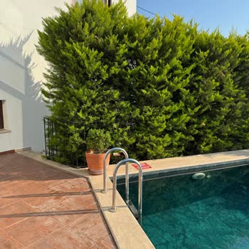 Hello Villam Hayal Kırıklığı Yaratan Hijyen ve İlgisizlikle Karşılaştık