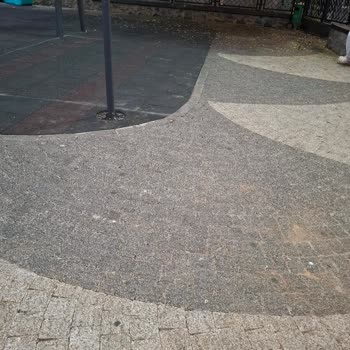 Parkın Temizliği Ve Ağaç Taleplerimiz Yanıtsız Kalıyor