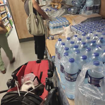 Mağazada Kedilerin Suların Üzerinde Yatması Ve Personelin İlgisizliği