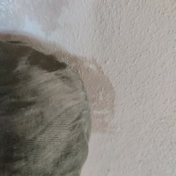 Polisan Boya Duvardan Silince Çıkıyor, Mağduriyet Yaşıyorum