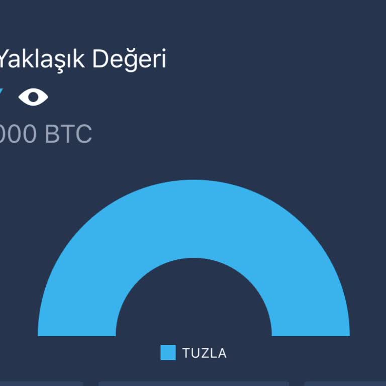 Hesabımdaki Coinler Kayboldu, İşlem Ve Bildirim Yok