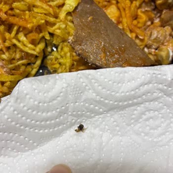 Yemekte Çıkan Böcek Nedeniyle Yaşadığım Hijyen Şoku Unutamıyorum