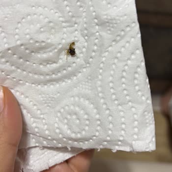 Yemekte Çıkan Böcek Nedeniyle Yaşadığım Hijyen Şoku Unutamıyorum