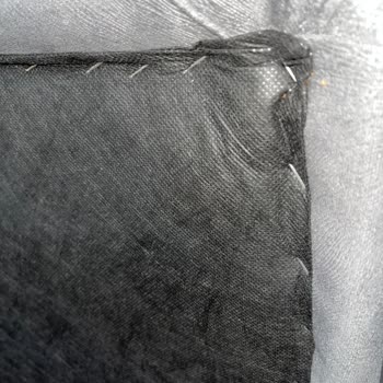 Yatak Baza Takımında Tahta Kurusu Sorunu Ve Çözüm Arayışı
