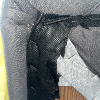 Yatak Baza Takımında Tahta Kurusu Sorunu Ve Çözüm Arayışı