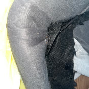 Yatak Baza Takımında Tahta Kurusu Sorunu Ve Çözüm Arayışı