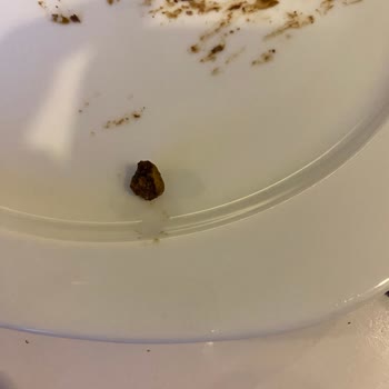 Pastadan Taş Çıktı, Ücret İadesi De Yapılmadı!