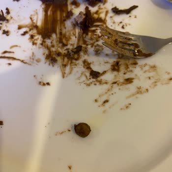 Pastadan Taş Çıktı, Ücret İadesi De Yapılmadı!