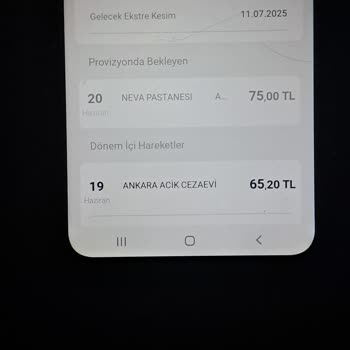 İade Param Kayboldu, İki Firma Da Mağdur Etti