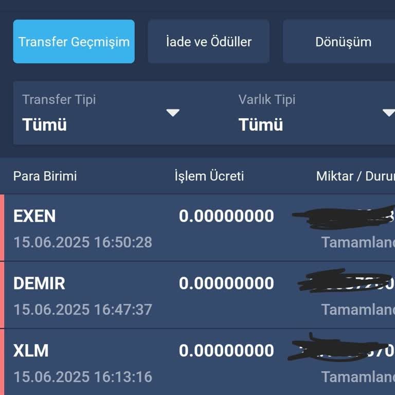 Bitexen Hesabım Ve Tokenlerim Sıfırlandı Güvenim Kalmadı